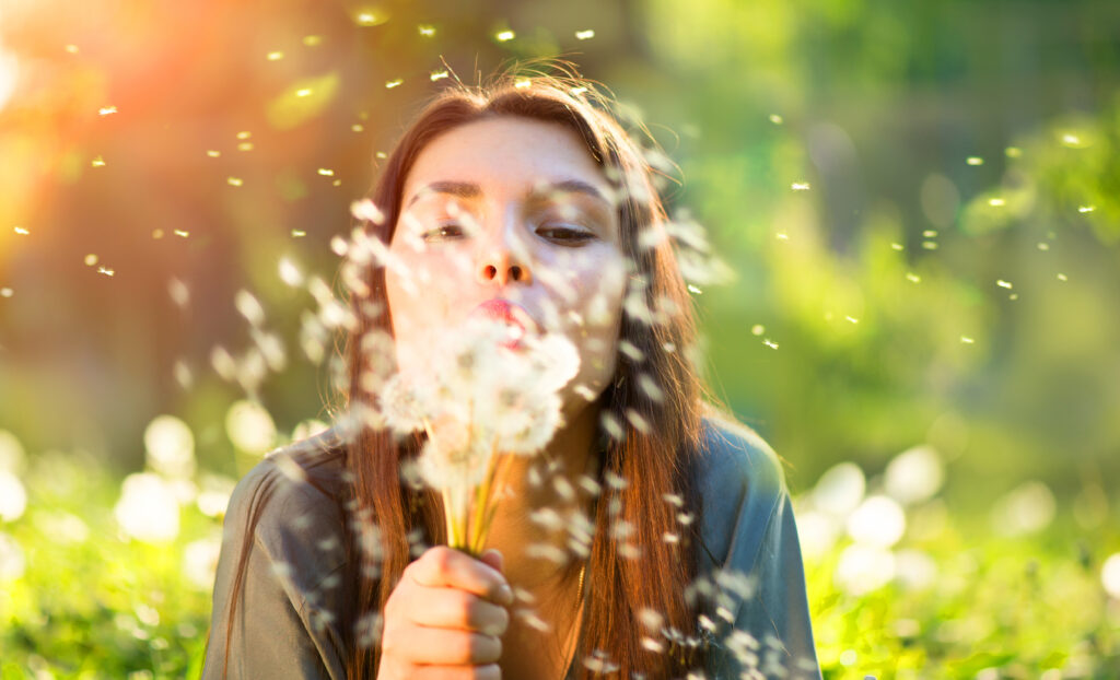 Beautiful young woman lying down on the field in green grass, blowing dandelions and smiling