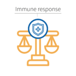Micro-immunotherapy rebalance the immune response