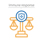 rebalance-immune-response Micro-immunotherapy rebalance the immune response