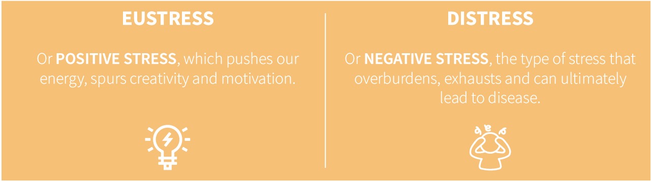 positive-and-negative-stress Types of stres: Eustress and distress