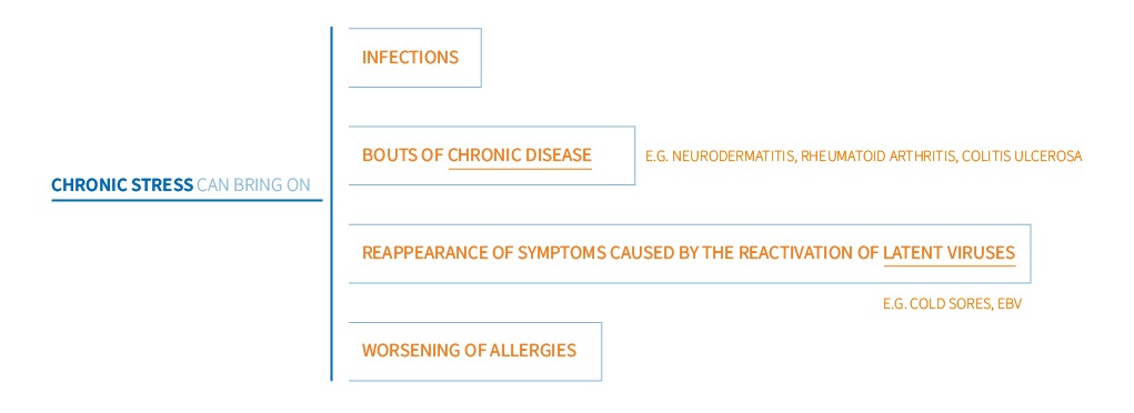 Stress a doorway to infections and other diseases