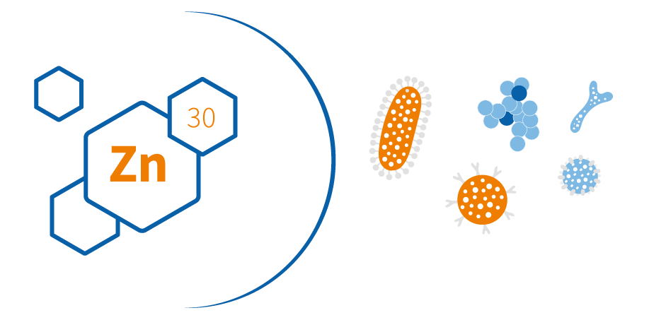 Importance-zinc-immune-level Zinc against viruses and infections