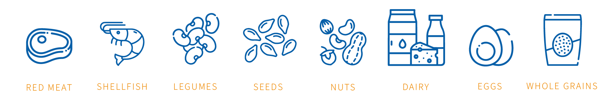 eight-zinc-rich foods Prevent deficiency with zinc-rich foods