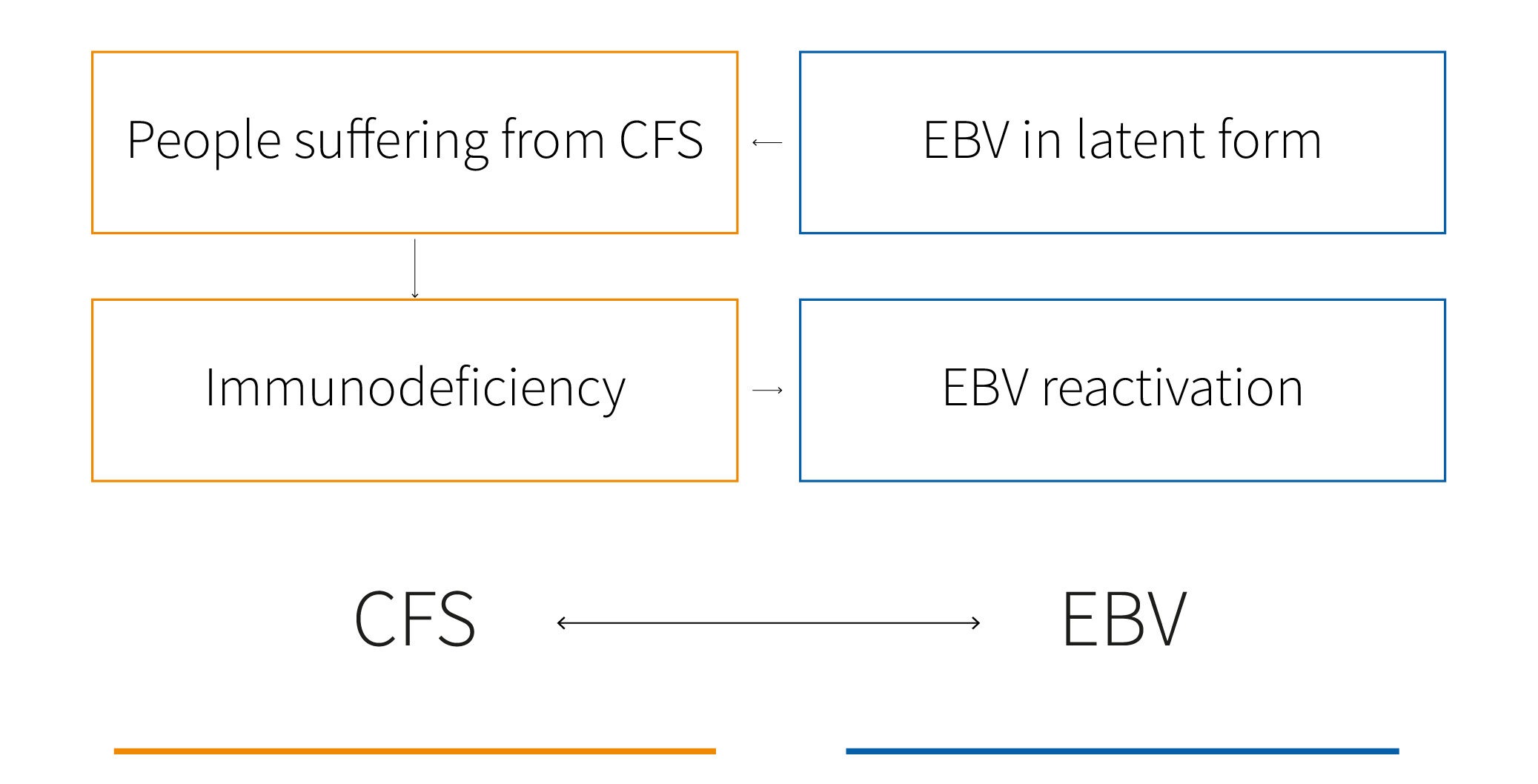 role-of-ebv-in-chronic-fatigue The role of EBV in chronic fatigue