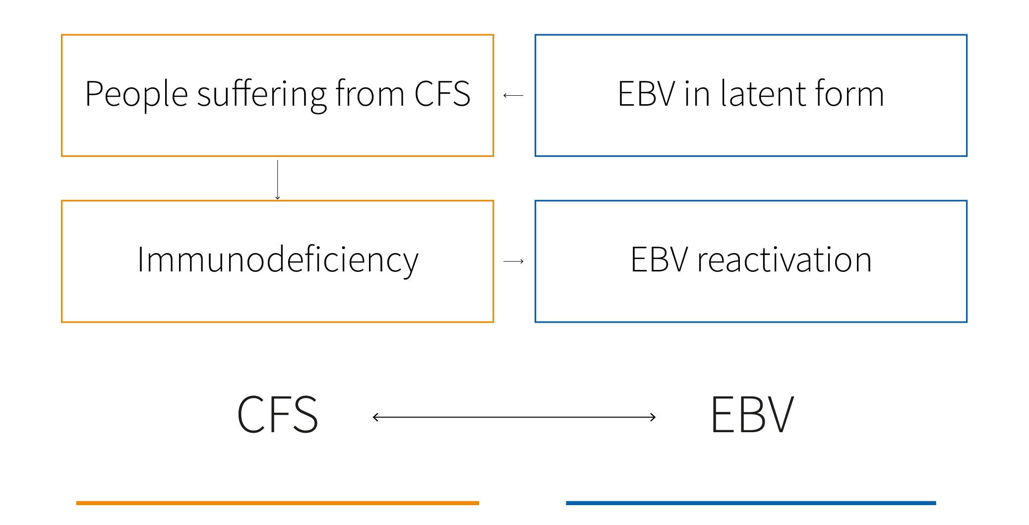 The role of EBV in chronic fatigue