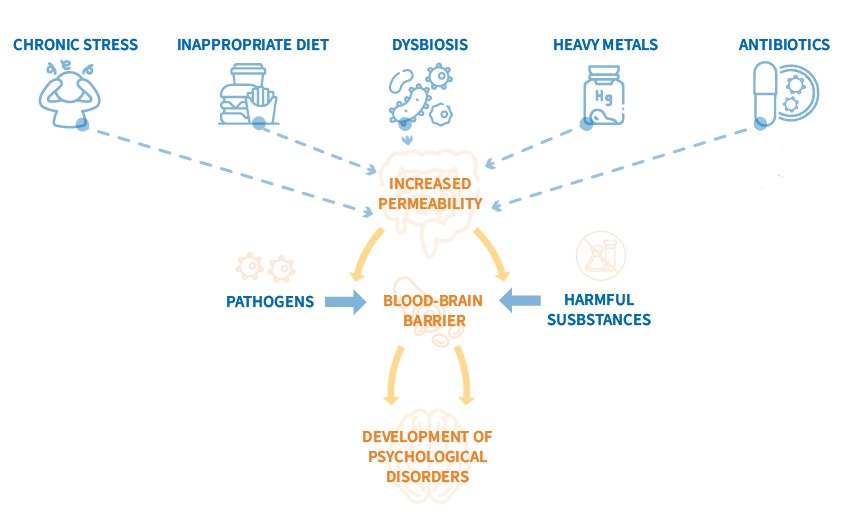 Schematic representation of Leaky Gut Syndrome